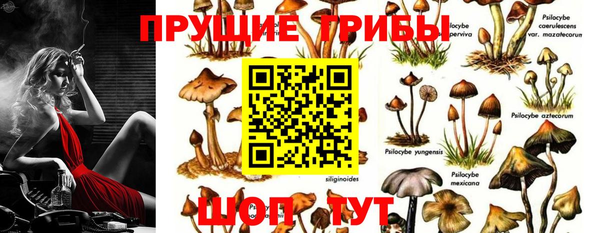 Лиски  Галлюциногенные грибы прущие грибы  Вход с VPN  Галлюциногенные грибы прущие грибы 